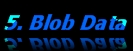 BLOB Encryption of Oracle data-at-rest binary large object security using aes256