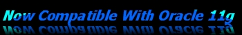 Standby Wizard Compatible with Oracle 11g
